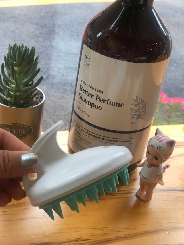 달리프 베러 퍼퓸 샴푸 1000ml 레이니데이 or 일랑로즈 리뷰 사진