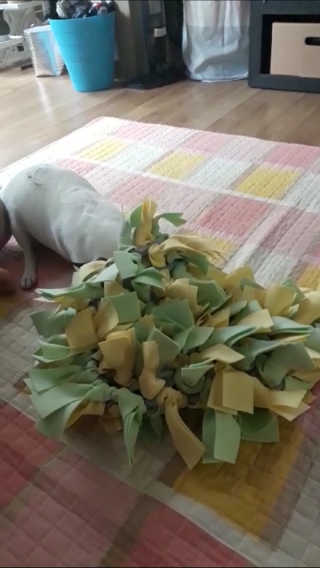 로로님이 올린 리뷰 사진 3