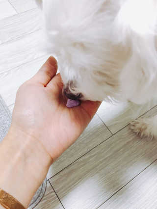 SeoYoungSim님이 올린 리뷰 사진 1