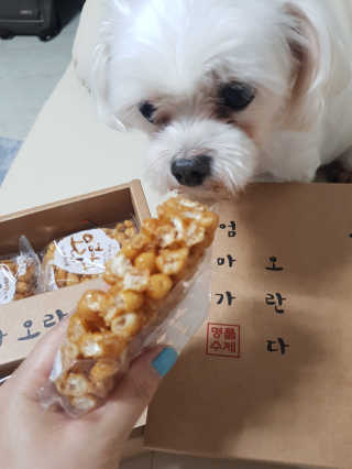 욤이잉님이 올린 리뷰 사진 1