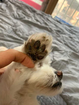 어거스트비님이 올린 리뷰 사진 3