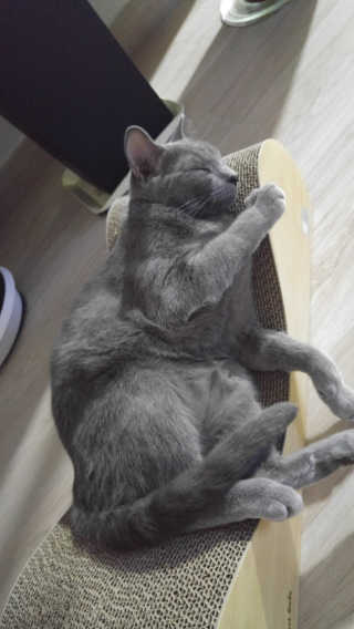 gang님이 올린 리뷰 사진 3