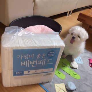 니코니코니님이 올린 리뷰 사진 2