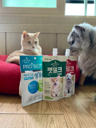 [빙그레] 에버그로 생유산균 1봉（10포입）+펫밀크2팩 — 4점을 준 리뷰어가 2019년 5월 올린 사용 사진