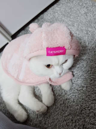억대연봉님이 올린 리뷰 사진 4