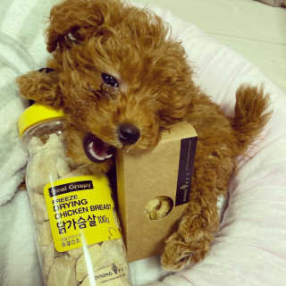 칸쵸님이 올린 리뷰 사진 1