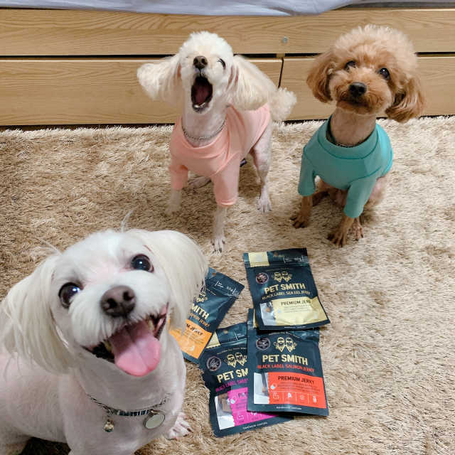 펫스미스 블랙라벨 ALL PACK 리뷰 사진