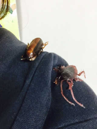 러브율님이 올린 리뷰 사진 1