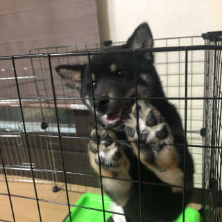 숩니님이 올린 리뷰 사진 3