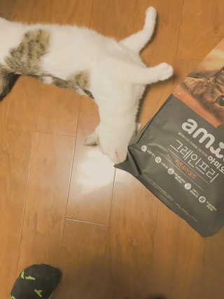 보라솜님이 올린 리뷰 사진 1