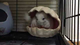 Jisilver님이 올린 리뷰 사진 1