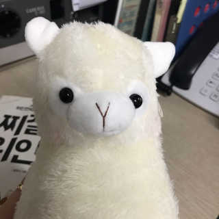 아몬드나무님이 올린 리뷰 사진 2