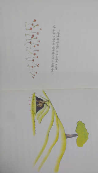 카둡님이 올린 리뷰 사진 3