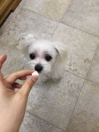 BoyoungShin님이 올린 리뷰 사진 1