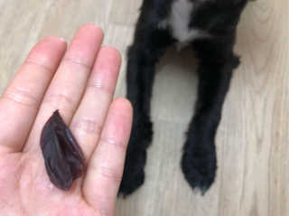 유짱님이 올린 리뷰 사진 4