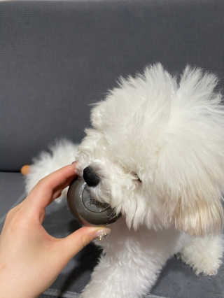 kmakmsss님이 올린 리뷰 사진 4