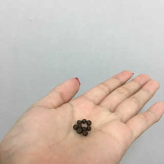 기요미공주님이 올린 리뷰 사진 3