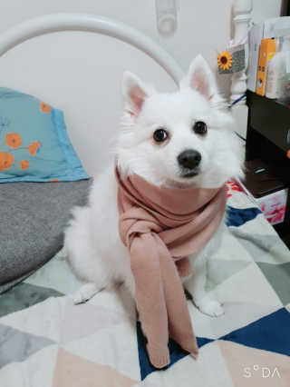 블리블리♡은블리♡님이 올린 리뷰 사진 4