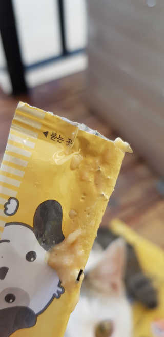 [펫토리아] 강아지,고양이겸용 짜먹는 한입뚝딱 — 4.67점을 준 리뷰어가 2019년 1월 올린 사용 사진