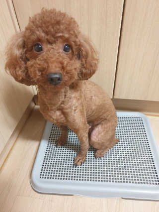 호호엄마님이 올린 리뷰 사진 2
