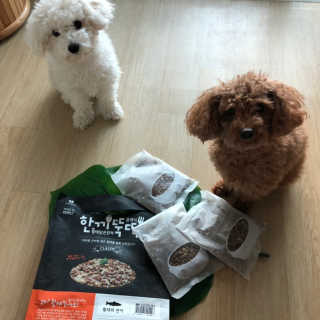 [펫토리아] 맛도 영양도 BEST 한끼뚝딱 강아지 사료 — 4.5점을 준 리뷰어가 2018년 12월 올린 사용 사진