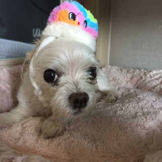 sweet1234님이 올린 리뷰 사진 1