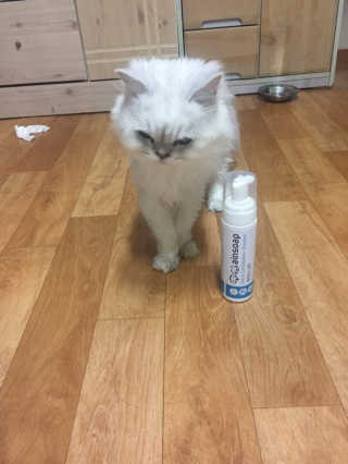 이윤희님이 올린 리뷰 사진 1