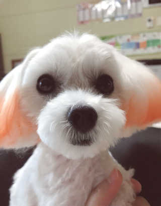 성희님이 올린 리뷰 사진 3