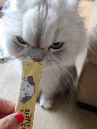 [펫토리아]짜먹는 한입뚝딱 강아지.고양이 마약간식 — 5점을 준 리뷰어가 2019년 8월 올린 사용 사진