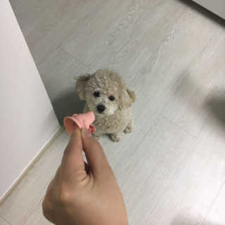 이한림님이 올린 리뷰 사진 2