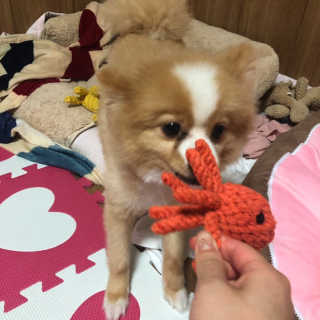 럽영님이 올린 리뷰 사진 2
