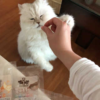 juju님이 올린 리뷰 사진 4