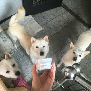 슬기돌님이 올린 리뷰 사진 1
