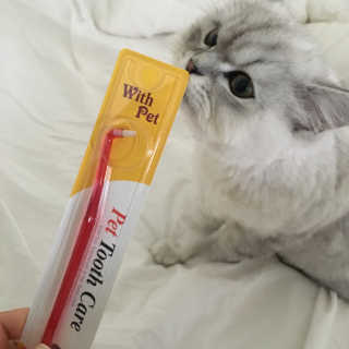 단발소녀님이 올린 리뷰 사진 3