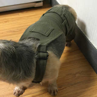 융챙님이 올린 리뷰 사진 1