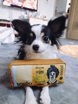 베이컨박스 — 4점을 준 리뷰어가 2018년 1월 올린 사용 사진