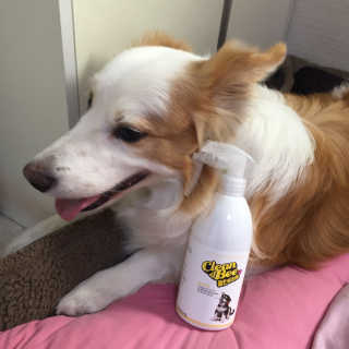 떡볶이죠아님이 올린 리뷰 사진 2