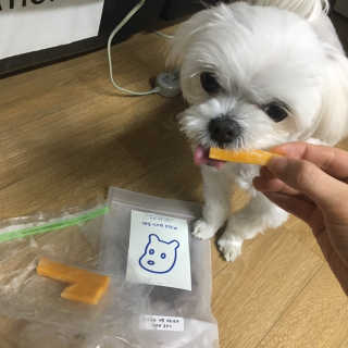 [어글어글] 반려견 친환경 간식 9종 세트 — 5점을 준 리뷰어가 2020년 3월 올린 사용 사진