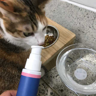 kelly님이 올린 리뷰 사진 2