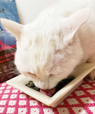 수달짱님이 올린 리뷰 사진 2