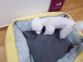bokchi님이 올린 리뷰 사진 3