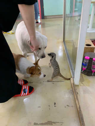 shalala님이 올린 리뷰 사진 3