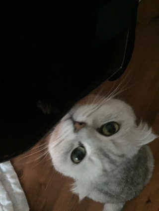 루아님이 올린 리뷰 사진 4