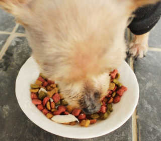안옥이님이 올린 리뷰 사진 2