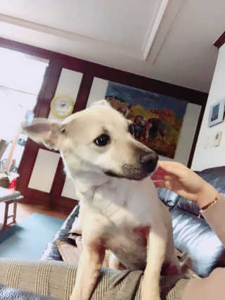 elizabeth님이 올린 리뷰 사진 2