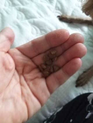 지여니님이 올린 리뷰 사진 4