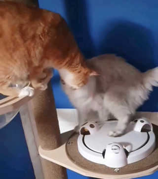 fively님이 올린 리뷰 사진 3