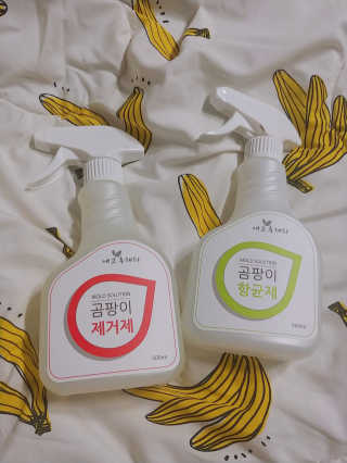 이플단미님이 올린 리뷰 사진 1