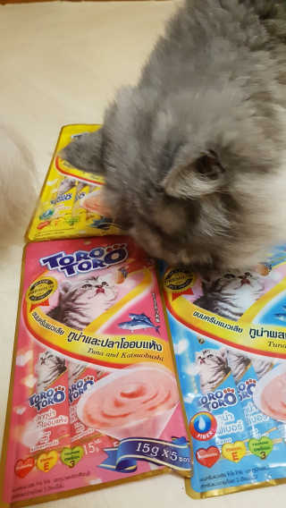 박오뎅님이 올린 리뷰 사진 1