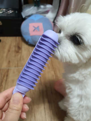 뽀오오옹님이 올린 리뷰 사진 1